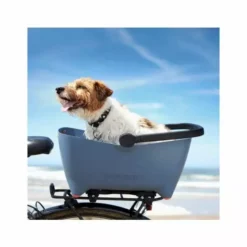 Panier Arrière BASIL BUDDY -Sacs à Dos et Bananes Soldes 600x600 173153 15713826784183